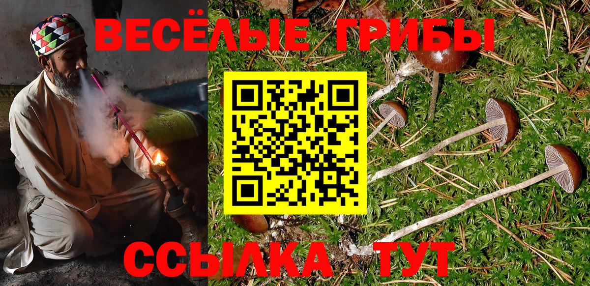 Галлюциногенные грибы мухоморы  Вход с VPN  Псилоцибиновые грибы ЛСД  Моздок 